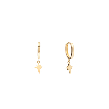 Goldie hoops with elongated star