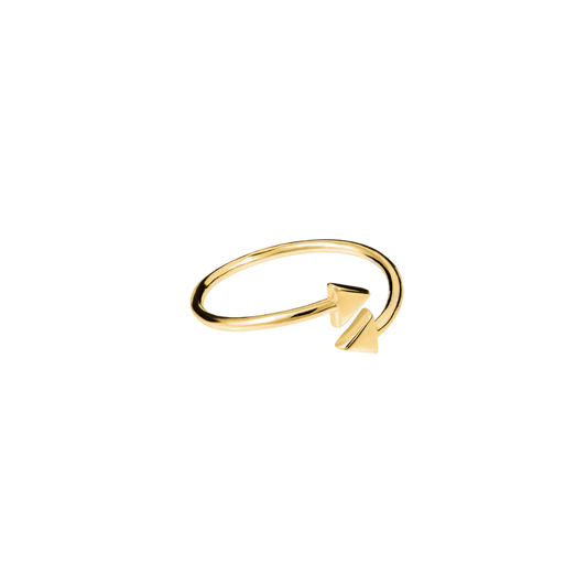 Tati Goldie Double Arrow Ring